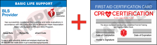 Sample American Heart Association AHA BLS CPR Card Certification and First Aid Certification Card from CPR Certification Sandy Springs