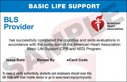 Sample American Heart Association AHA BLS CPR Card Certification from CPR Certification Brookhaven