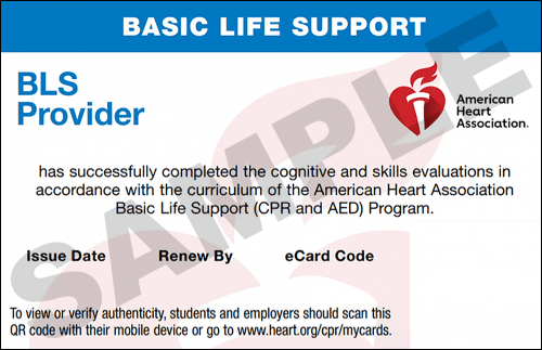 Sample American Heart Association AHA BLS CPR Card Certification from CPR Certification Chamblee