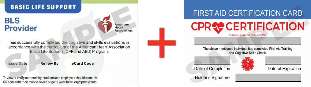 Sample American Heart Association AHA BLS CPR Card Certification and First Aid Certification Card from CPR Certification Atlanta